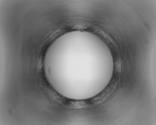 X0000111890517200908131658