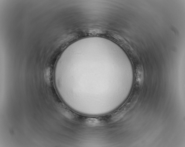 X0000111890519200908131657