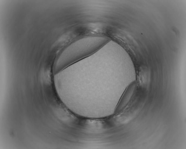 X0000111890520200908131657