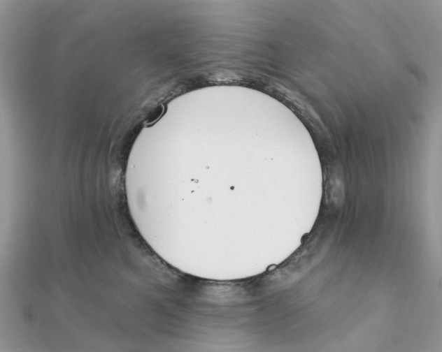 X0000111890521200908131657