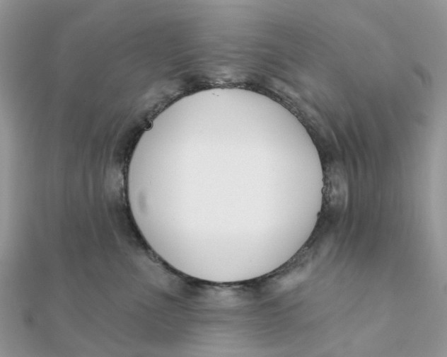 X0000111890523200908131657