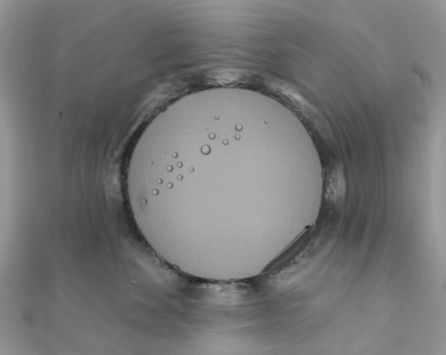 X0000111890524200908131657