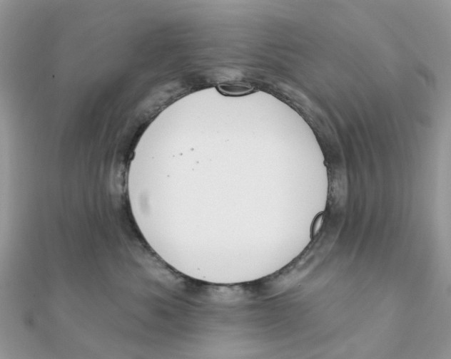 X0000111890525200908131657