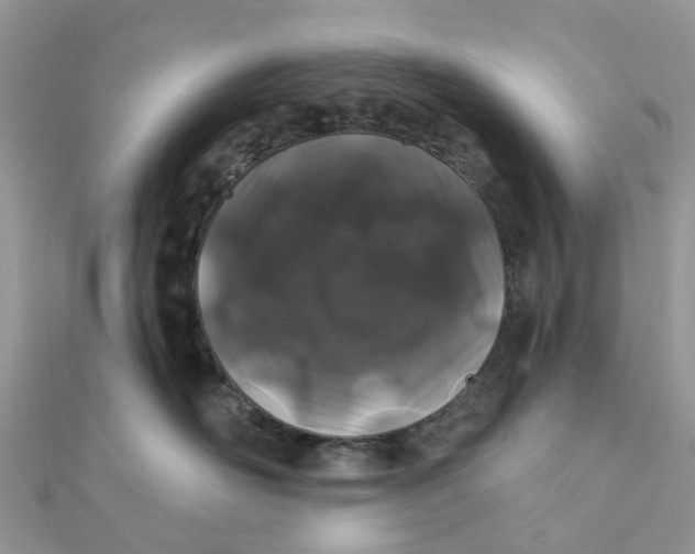 X0000111890526200908131657