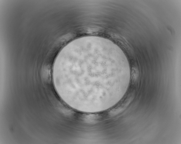 X0000111890527200908131657