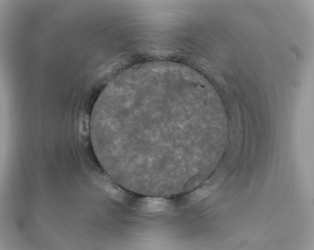 X0000111890528200908131657