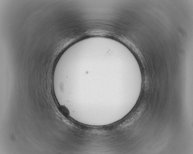 X0000111890529200908131657