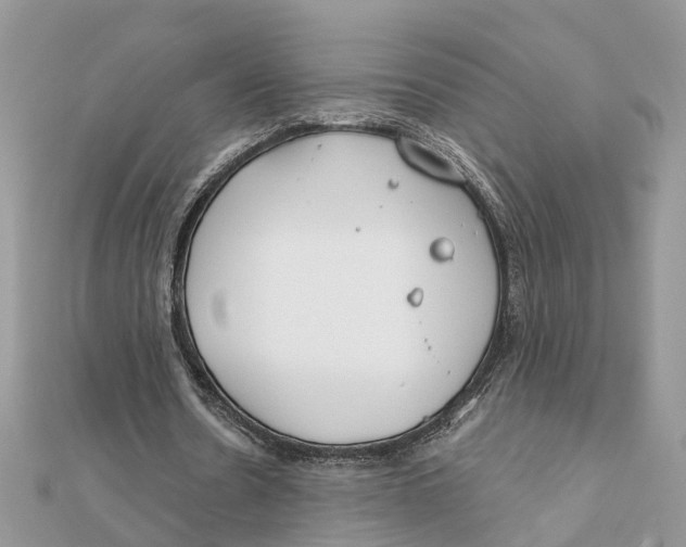 X0000111890530200908131657