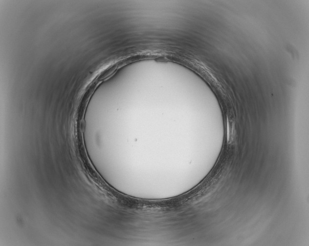 X0000111890531200908131657