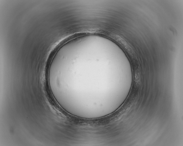 X0000111890532200908131657