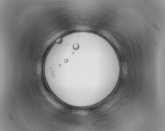 X0000111890533200908131657