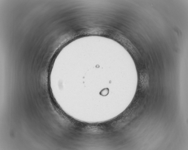 X0000111890534200908131657