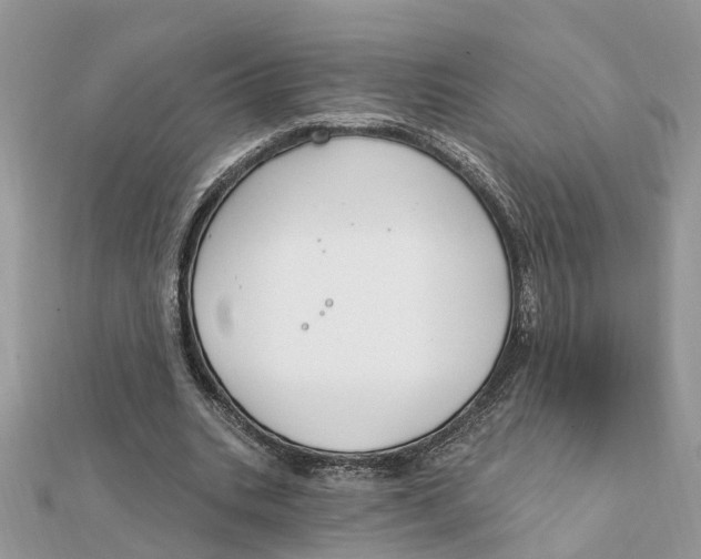 X0000111890535200908131657