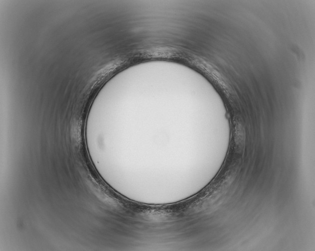 X0000111890537200908131657