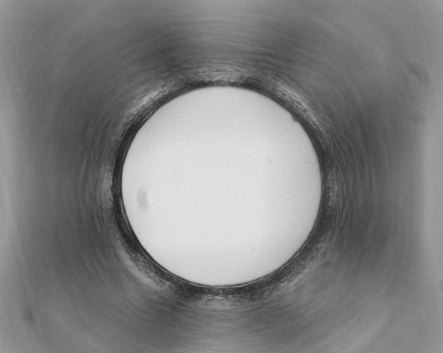 X0000111890538200908131657