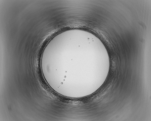 X0000111890539200908131657