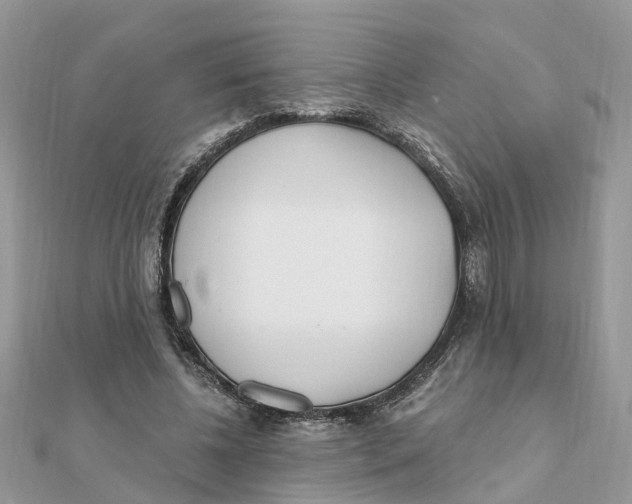 X0000111890540200908131657