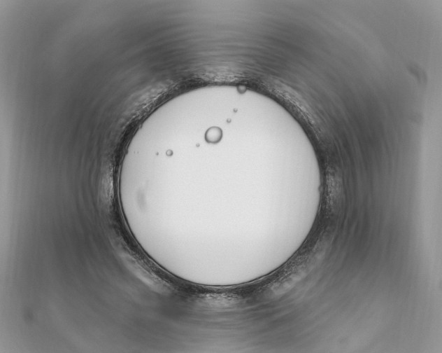 X0000111890541200908131657