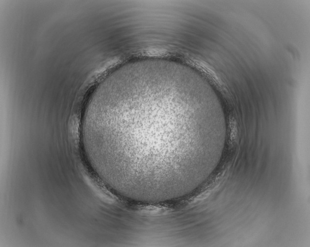 X0000111890542200908131657