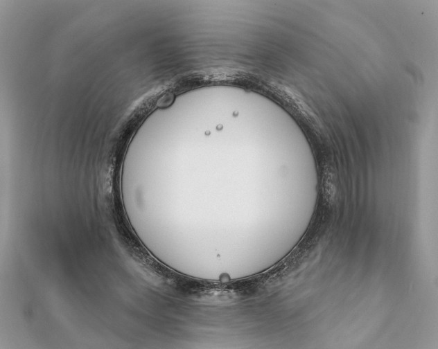 X0000111890543200908131657