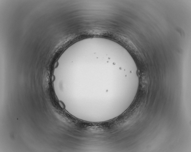 X0000111890544200908131657