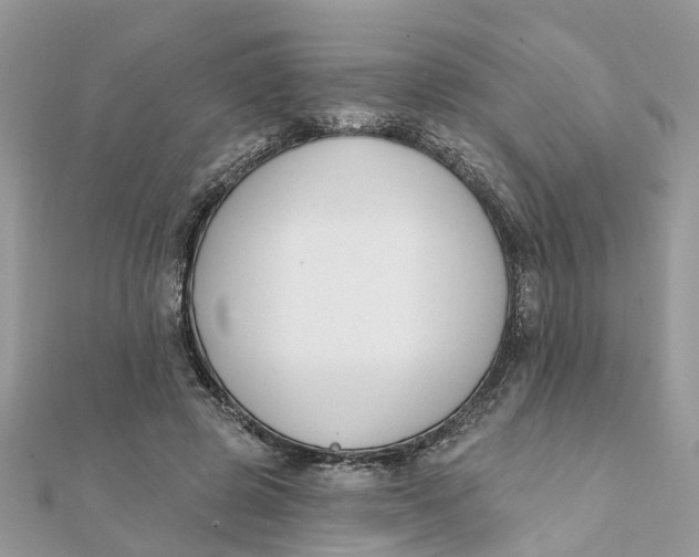 X0000111890545200908131657