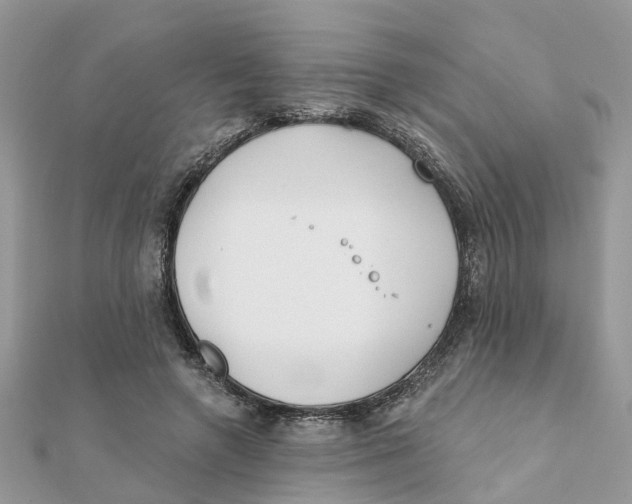 X0000111890546200908131657