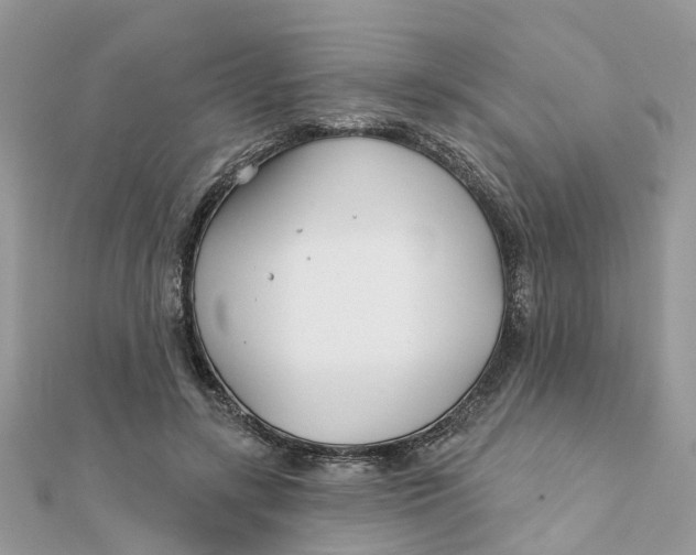 X0000111890547200908131657