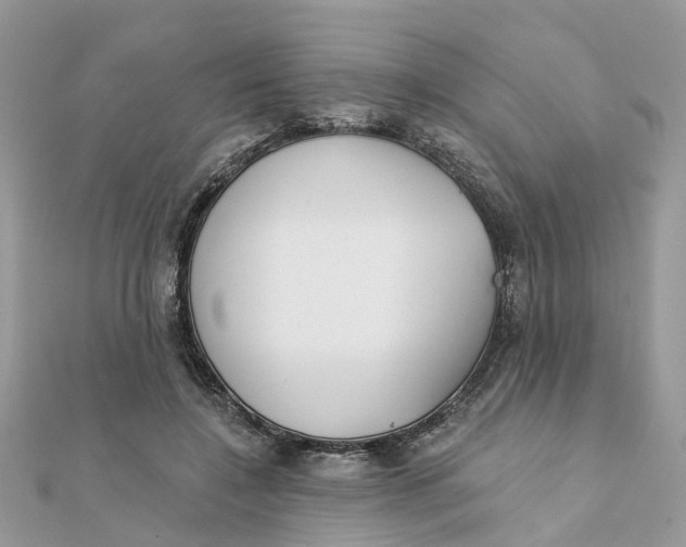 X0000111890548200908131657