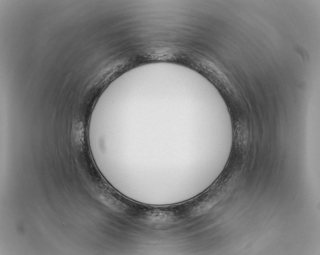 X0000111890549200908131657