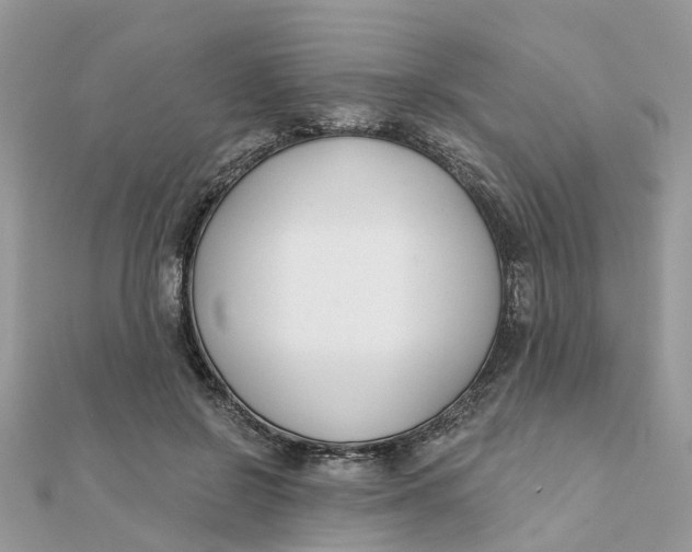 X0000111890550200908131657