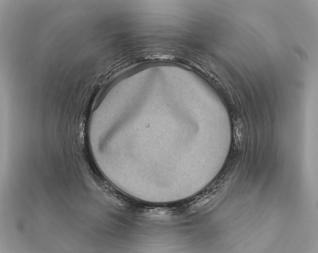 X0000111890551200908131657