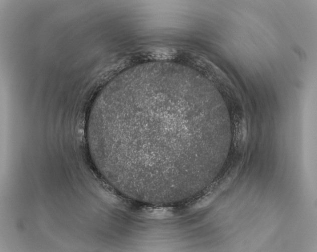 X0000111890553200908131657