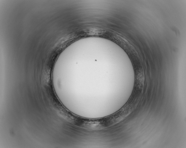 X0000111890554200908131657