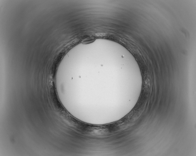 X0000111890555200908131657