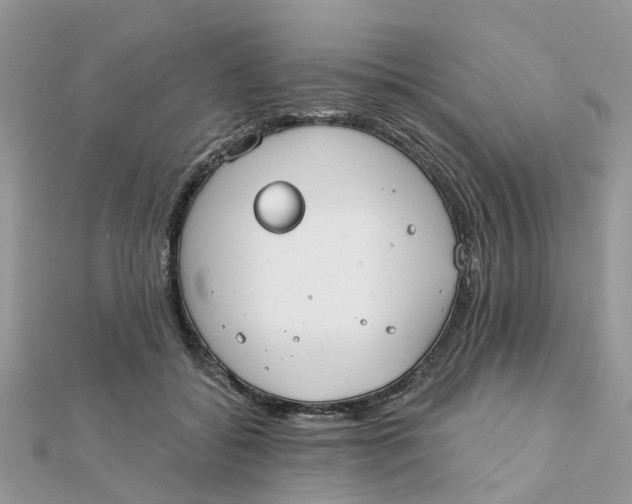 X0000111890556200908131657