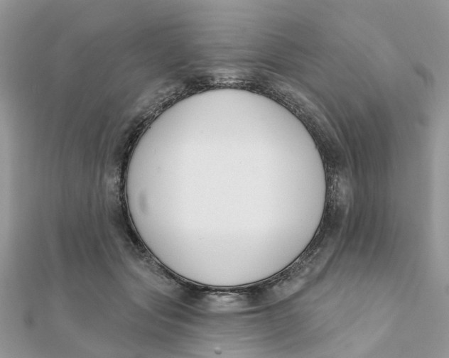 X0000111890557200908131657