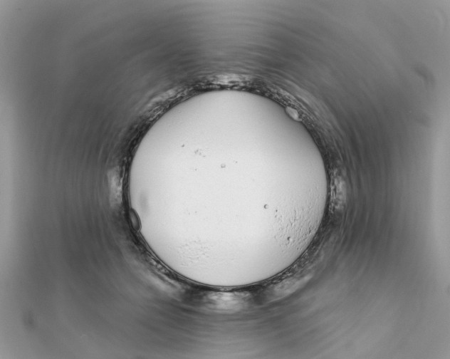 X0000111890558200908131657