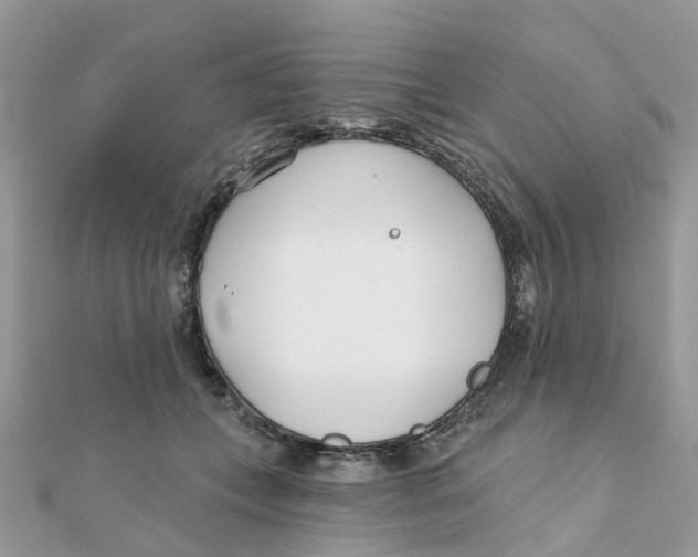 X0000111890559200908131657