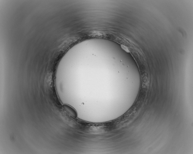 X0000111890560200908131657