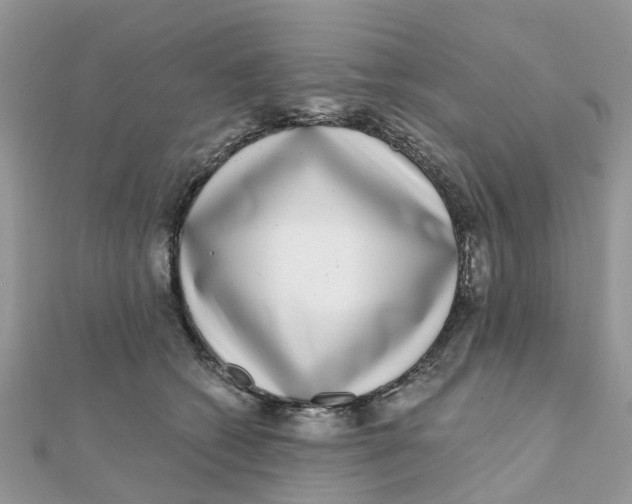 X0000111890562200908131657