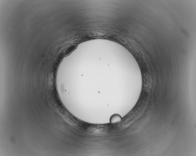 X0000111890563200908131657