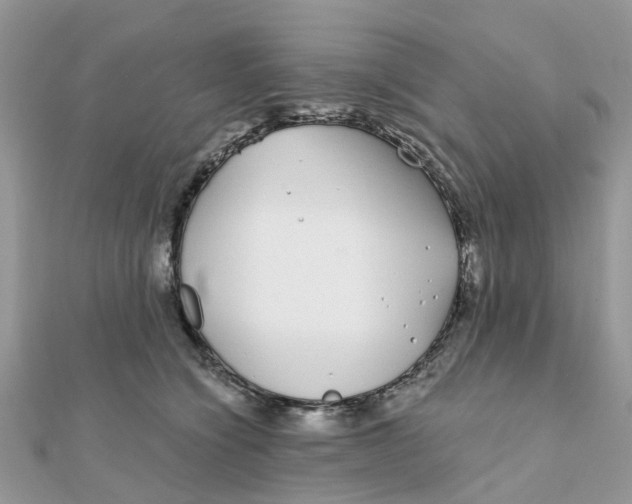 X0000111890564200908131657