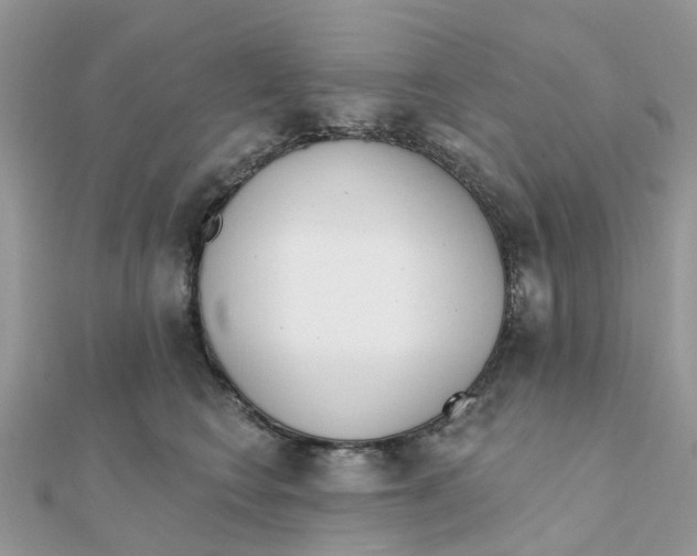 X0000111890566200908131657