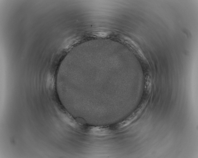 X0000111890568200908131657