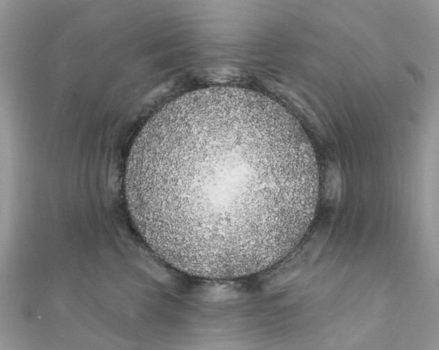 X0000111890569200908131657