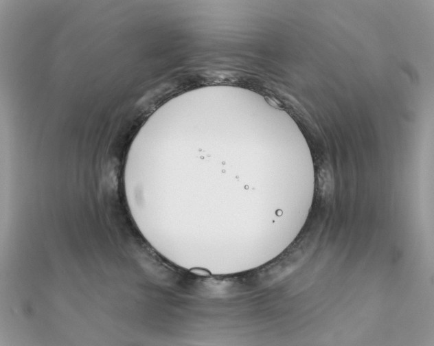 X0000111890570200908131657