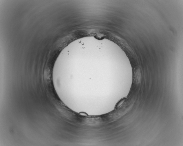 X0000111890571200908131657