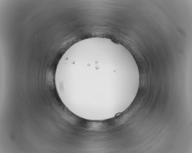 X0000111890575200908131657