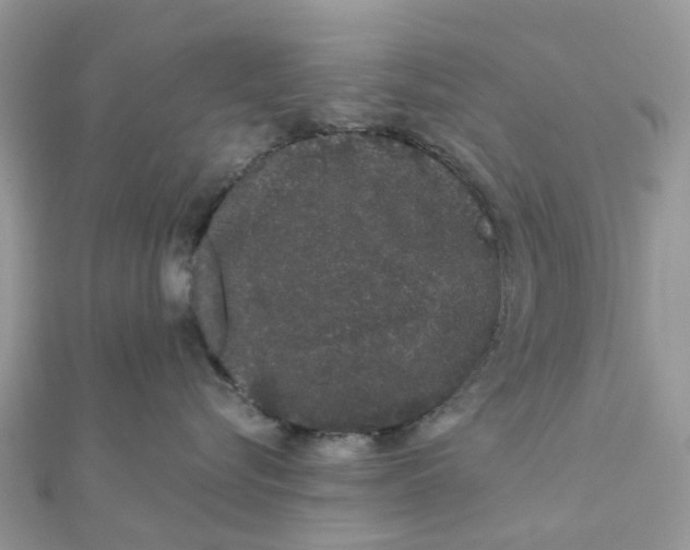 X0000111890576200908131657